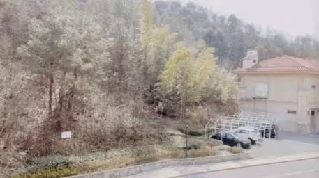 張亮開百萬豪車與前妻約會,戴大金鍊子打扮浮誇,頻傳復婚不回應