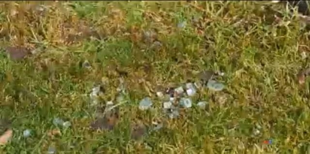 前女足球員離奇身亡!與友人在加拿大雙雙被槍殺,後者身家過億
