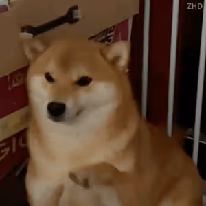 他的人設也崩塌了?