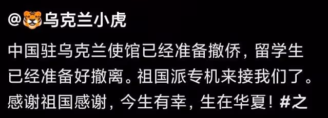 中國接在烏華人回家！百萬粉網紅感動到淚流滿面，直言祖國偉大