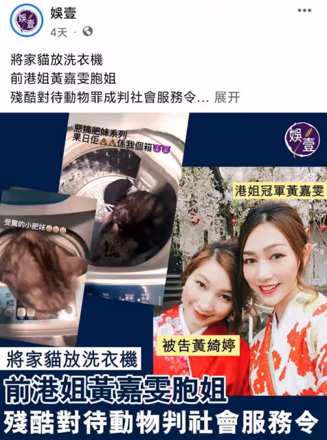 香港《娛壹》:ViuTV的忠實夥伴,TVB的最大黑粉?