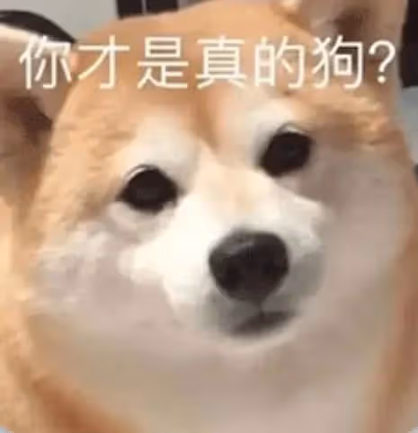 太噁心了!有人用Digi Ghetto的門票騙炮??