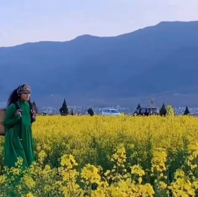 63歲楊麗萍近照美如畫,背背簍漫步油菜花田,及腰黑髮濃密似瀑布