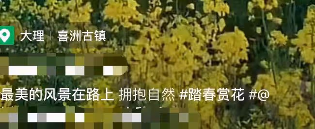 63歲楊麗萍近照美如畫,背背簍漫步油菜花田,及腰黑髮濃密似瀑布