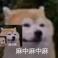 三小隻被資本施壓的瓜！迪麗熱巴文詠珊；易烊千璽；肖戰；劉亦菲龔俊；白敬亭；楊冪周柯宇；楊洋王楚然；譚松韻；朱一龍；張碧晨等合集