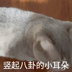新謀女郎記恨單眼皮女星?富家女和油男的料?男愛豆裝單純人設?