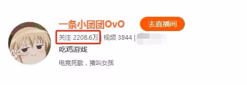主播一條小團團宣布停播，直言身體狀態出現問題，網友：都是藉口