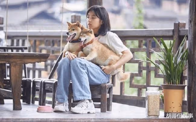 國民妹妹戀愛,卻遭到粉絲們的一致抵制,這是為什麼?