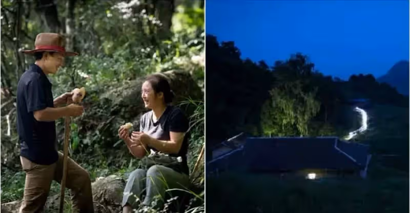 美女深山中被毒蜂蟄40針，被救後以身相許，從此隱居大山20年種下64萬棵樹