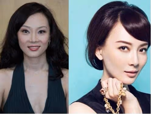 陳數早年與現在的臉變化實在是太大了,簡直就是整容最成功的女星,沒有之一!