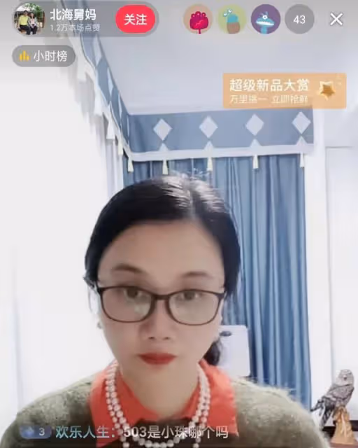 人氣慘澹!北海舅媽現身直播帶貨,反響平平