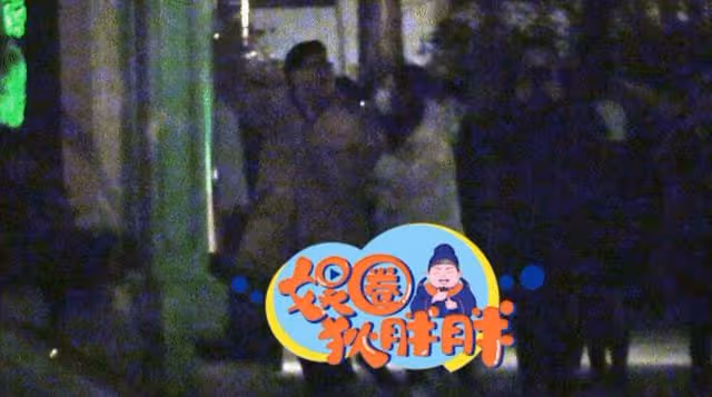 劉濤與高胖男子聚餐,酒後手挽手撒嬌打鬧,對方是東方衛視一哥