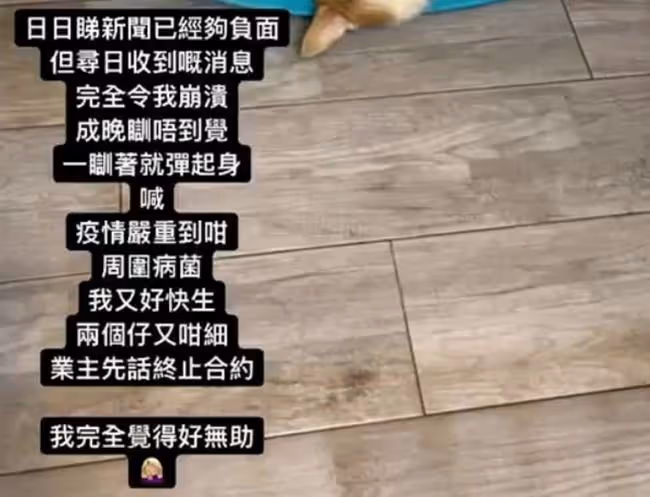 31歲模特區燕雯3胎臨盆在即,卻被業主無情逼遷,失眠崩潰大哭