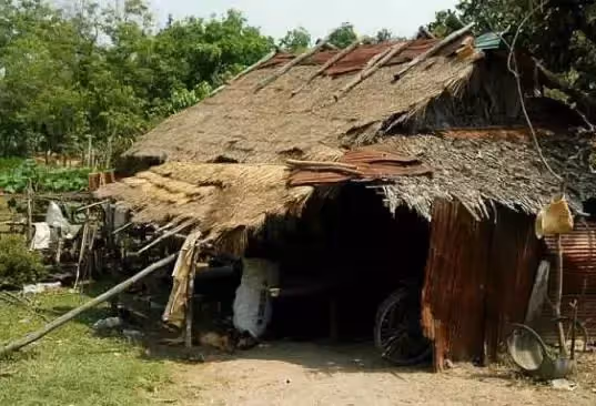 老人無人養老送終,淪落街頭住狗窩,老狗每日帶其去乞討