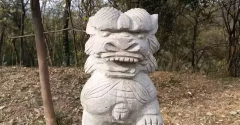 老爺爺在山上撿到一個石頭娃娃，一天深夜，石頭娃娃說話了
