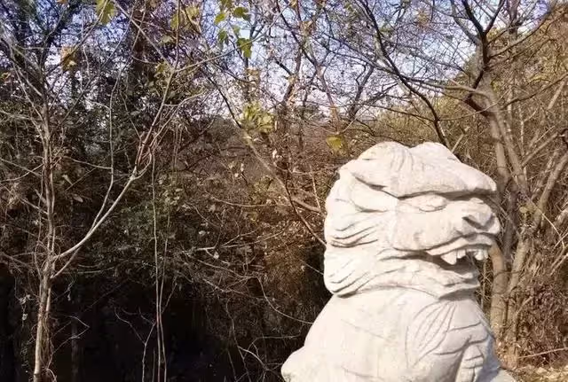 老爺爺在山上撿到一個石頭娃娃,一天深夜,石頭娃娃說話了