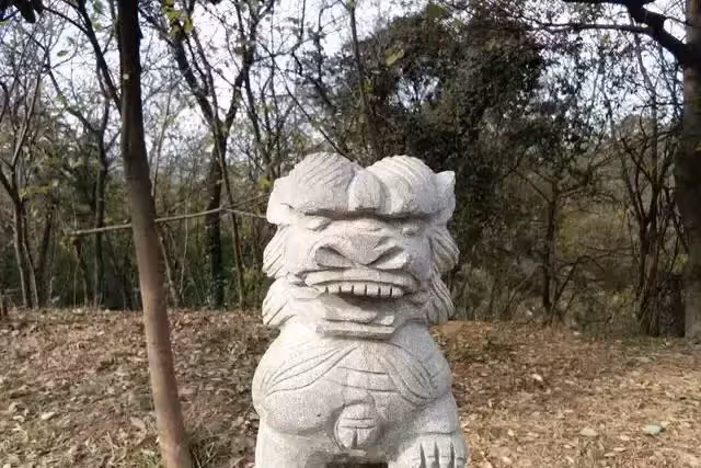 老爺爺在山上撿到一個石頭娃娃,一天深夜,石頭娃娃說話了