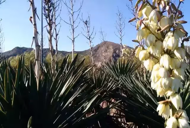 老爺爺在山上撿到一個石頭娃娃,一天深夜,石頭娃娃說話了