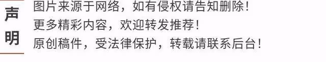 真子抵達紐約，面露笑容瞬間年輕10歲！蝸居小公寓，生活壓力爆棚