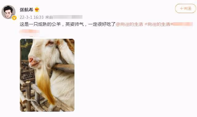 《嚮往6》馬上開錄!彭昱暢行程曝光錄製時間,張子楓遭網友抵制