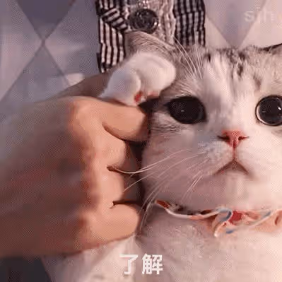 她也塌房了？