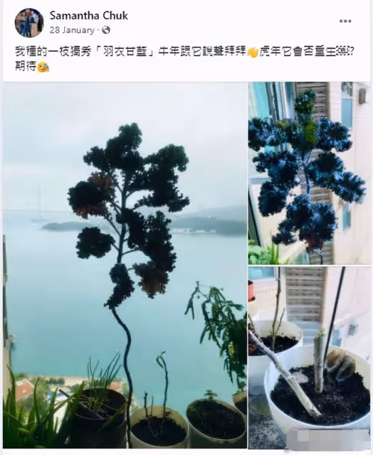 TVB戲骨患癌家中去世!最後露面精神佳,圈內好友震驚不知其患病