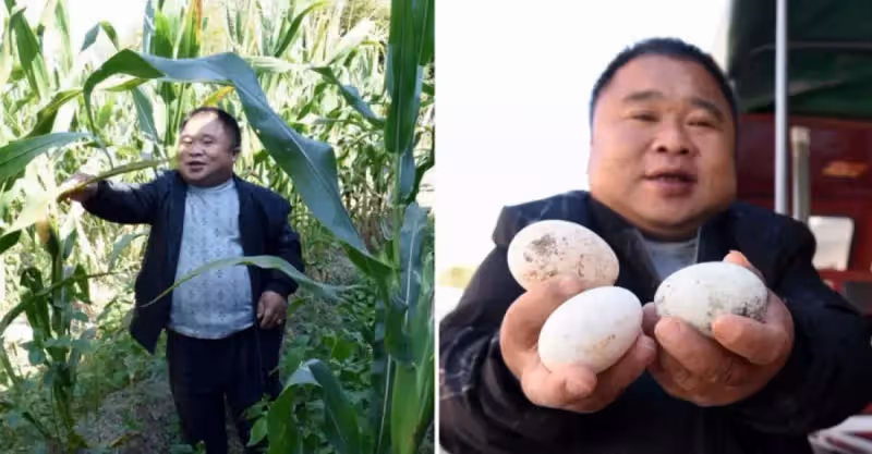 父母早逝，身高只有1米2的他，靠養鴨撫養2個弟弟：靠一己之力改寫人生
