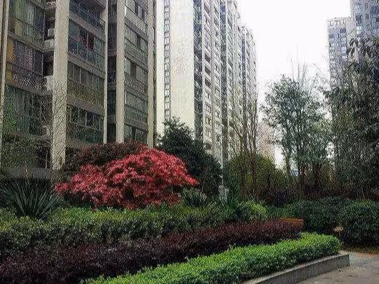 女婿沒錢還房貸,岳父願意每月支援五千:外孫隨我姓,男子:成交