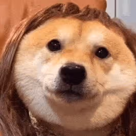 誰看了不說一句佩服！