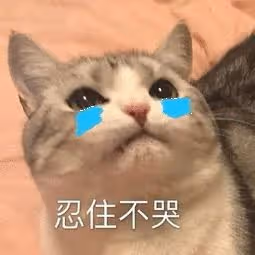 誰看了不說一句佩服!