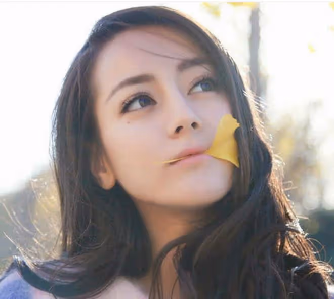 毋庸置疑的娛樂圈10大絕色美女