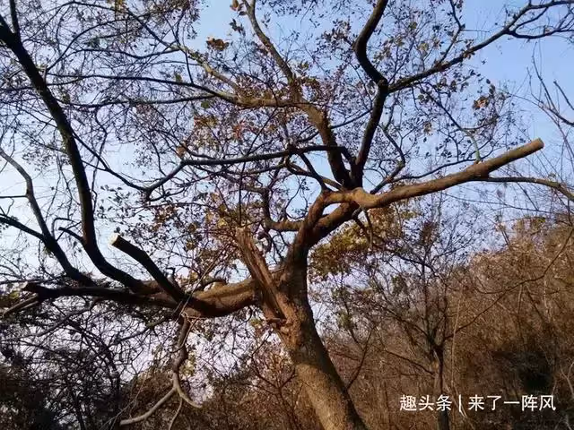 漂亮寡婦收留男乞丐,和男乞丐生下孩子,一天晚上男乞丐悄悄走了