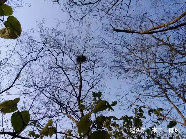 漂亮寡婦收留男乞丐,和男乞丐生下孩子,一天晚上男乞丐悄悄走了