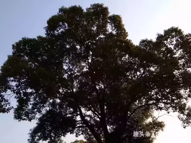漂亮寡婦收留男乞丐,和男乞丐生下孩子,一天晚上男乞丐悄悄走了