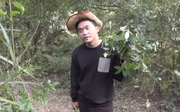 夫妻搬進新修的家中，接二連三發生意外，道士卻說以後別讓他進門