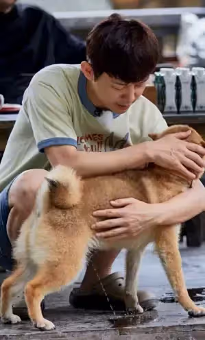 明星錯位圖有多搞笑?撒貝寧郭德綱沒啥,何炅這張真沒忍住