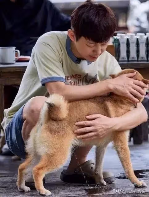 明星搞笑錯位圖,迪麗熱巴腿消失,看到何炅笑出表情包