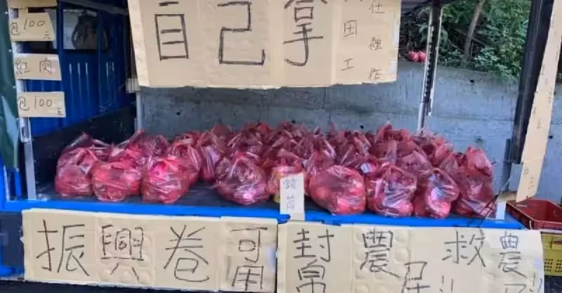 老闆還在田裡！貨車上擺火龍果「一袋100自己拿」　10個小時後「回到車上秒傻住」：不愧是台灣