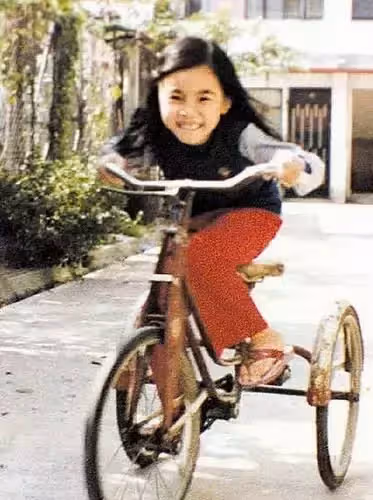 原生家庭坎坷!17歲蒙嘉慧為養家「拍風月片」 嫁鄭伊健8年「選擇頂客」近照曝光:美貌似少女