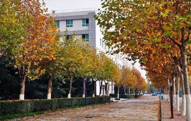女孩大學畢業後定居外地,拒絕幫哥哥償還房貸後,竟遭到父母起訴