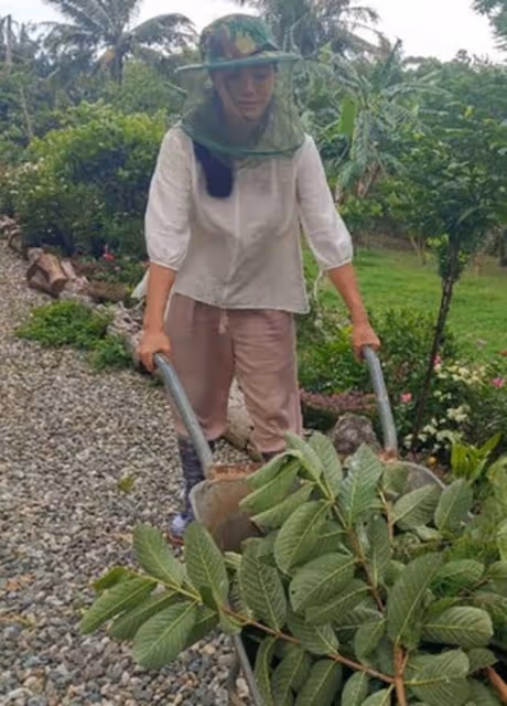 知名女星田麗突然住院吊點滴,感嘆人生無常!2度離婚後獨居農村