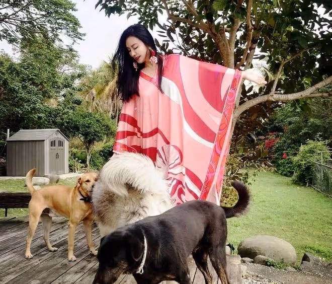 知名女星田麗突然住院吊點滴,感嘆人生無常!2度離婚後獨居農村