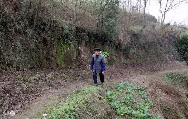 村頭女娃無人問，老頭抱回家卻被兒媳趕出，二十年後兒媳跪下喊爹