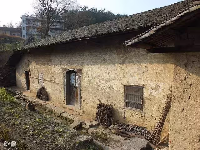 哥哥被富人收養,妹妹跟嬸娘過苦日子,原來一切都是是哥哥的計謀