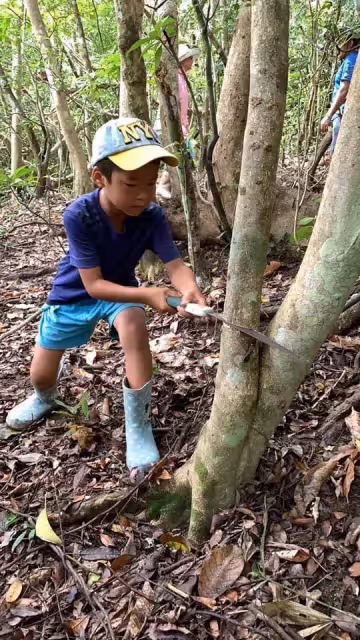 最小孩子才6歲!超人媽媽「一打四環島45天」 放養睡帳篷「玩到衣服都變黑」:媽媽是最棒職業