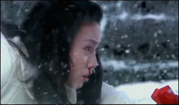 《被嫌棄的松子的一生》從出生到死去被嫌棄的一生