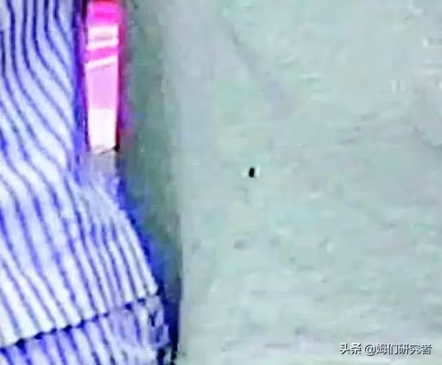 張家輝夫妻入住上億豪宅「高薪請7碩士當女兒家教」　一家人卻「穿破衣揹舊包」只花錢在對的地方！