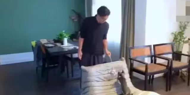 謝霆鋒在香港的豪宅公開!全家都是大明星人物,但卻住普通的房子 ,網友:完全不像是明星住的
