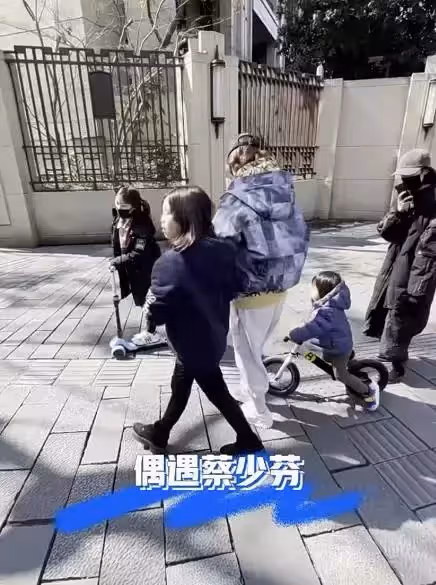 蔡少芬帶娃遊玩!與女兒挽手臂似姐妹,10歲大女兒直視鏡頭「臉型五官」超像媽媽