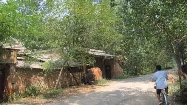 我和老公辛苦攢錢買房,母親卻讓我把房給弟弟,我回了母親8個字